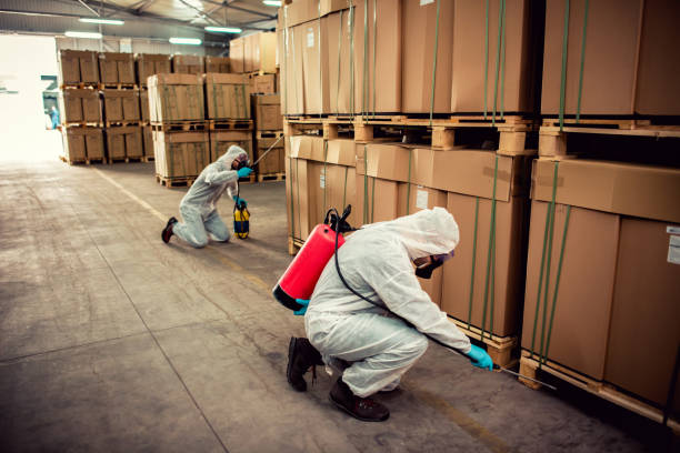 Best Exterminator Services  in Sterling Heights, MI