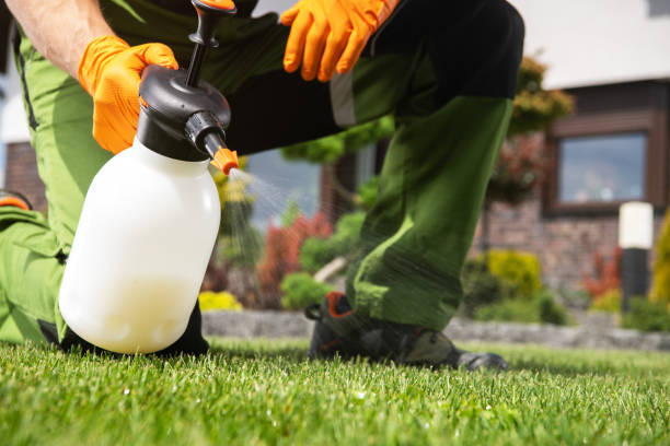 Best Local Pest Control Services  in Sterling Heights, MI