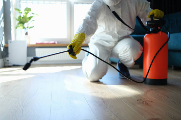 Best Flea Control Services  in Sterling Heights, MI
