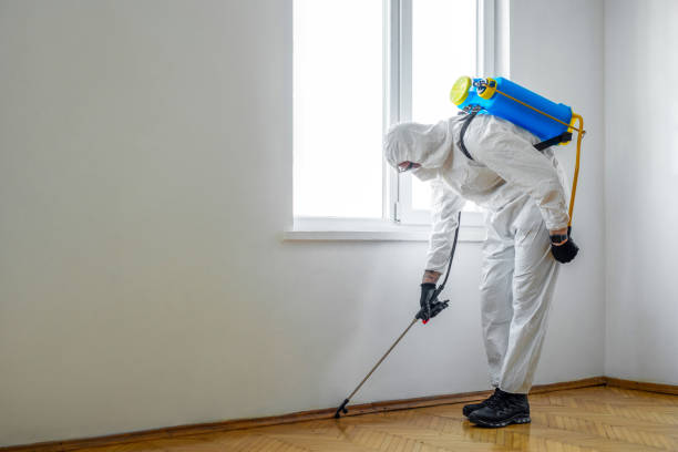 Best Residential Pest Control  in Sterling Heights, MI