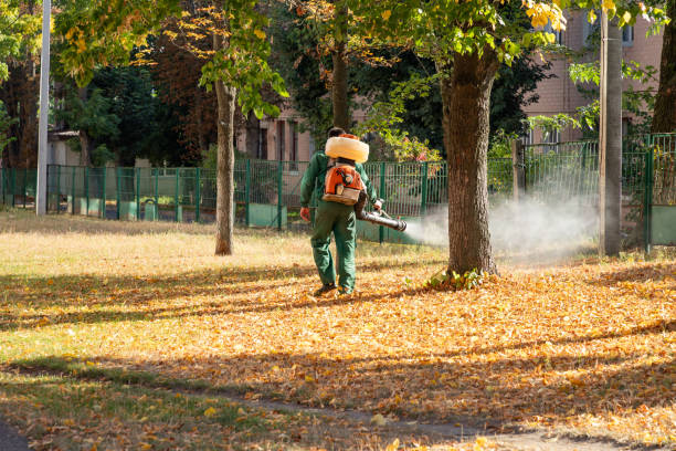 Best Pest Control for Businesses  in Sterling Heights, MI